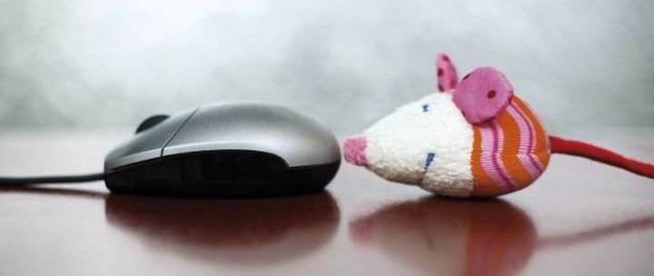 Soft mouse following computer mouse